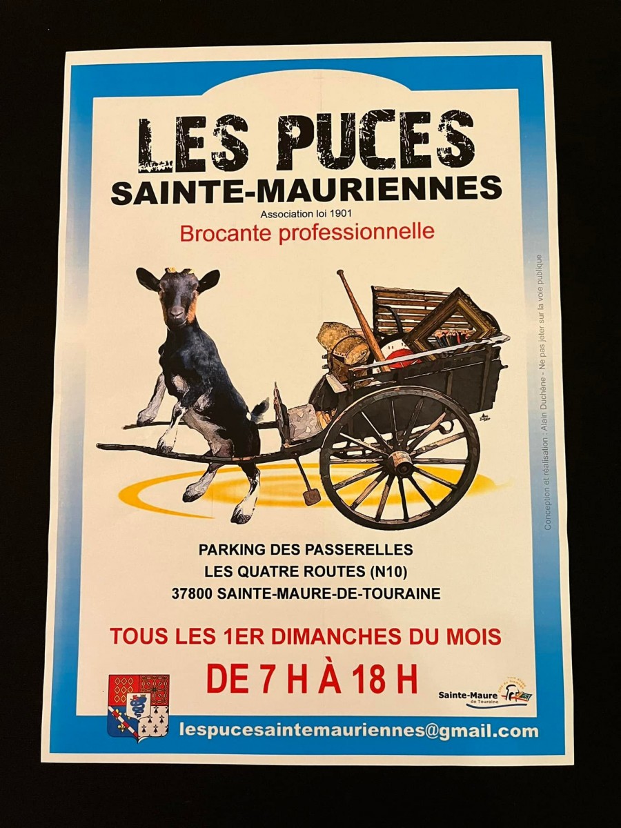 Les puces Sainte Mauriennes